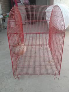 big size cage