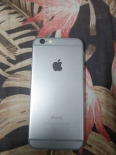 iphone 6