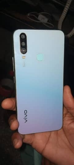 vivo