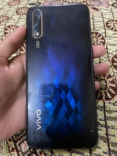 vivo