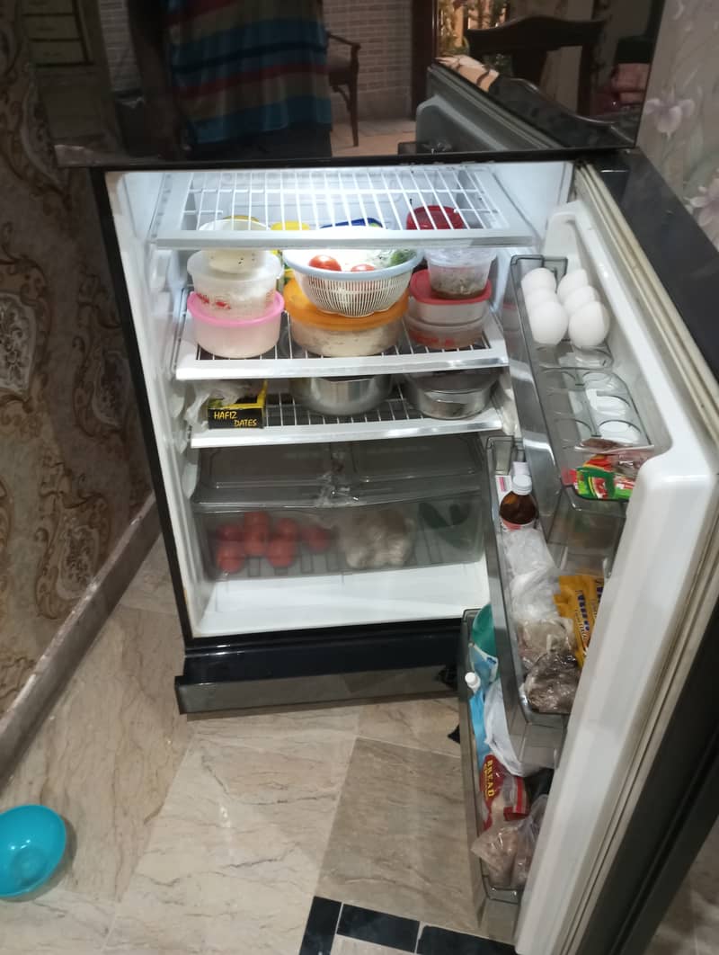 PEL Refrigerator 6