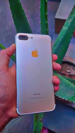 iPhone 7 Plus PTA Approve 258GB 0