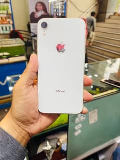 iPhone XR 128 GB PTA Approved