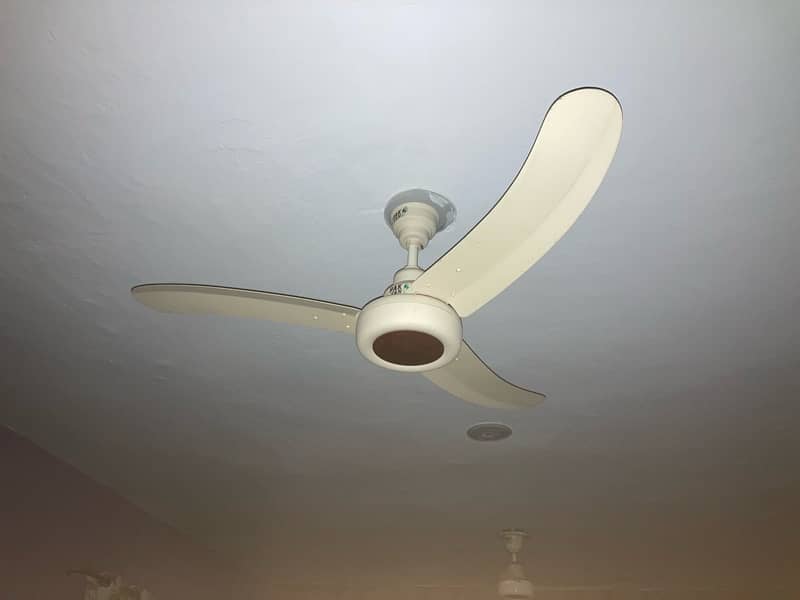 ceiling Fans 1