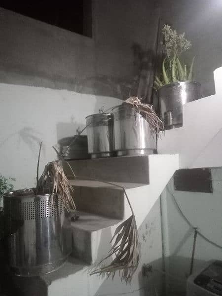 30 plants with steel planter 1