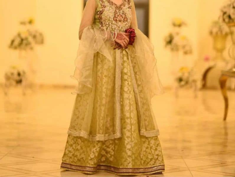 partywear Lehnga 6