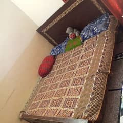 Double Bed