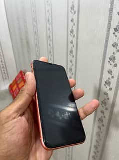 iPhone XR full new 10by10 jv sim sim time available 3 monhts