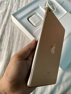 iPad mini 5