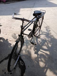 China Cycle Original