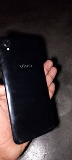 vivo