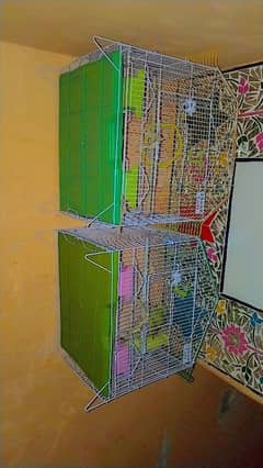 2 month used 10/10 condition 2 cage for sale 4500/- 0