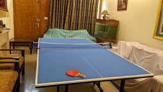 table tennis table