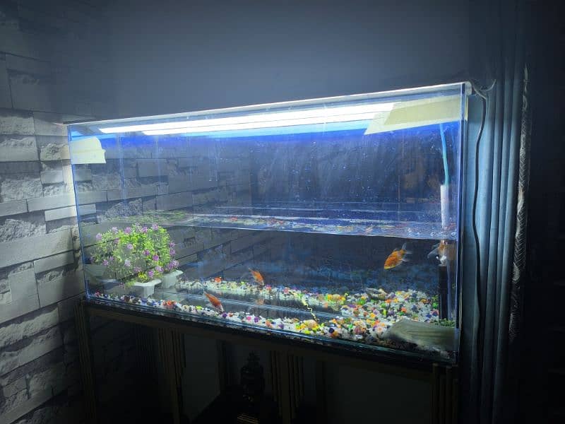 equarium for sale big size with 3d effect. 1