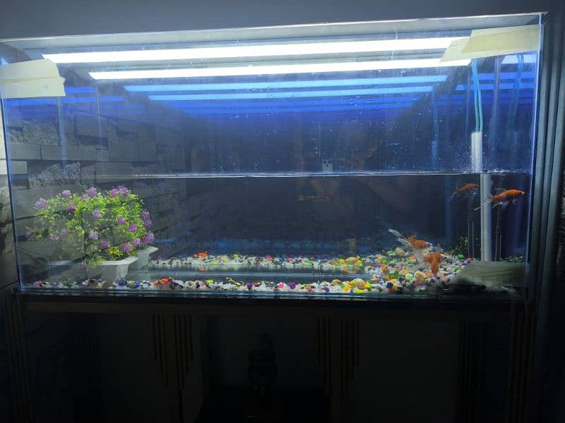 equarium for sale big size with 3d effect. 4