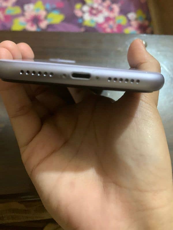 Iphone 11 Dual Pta Proved 2