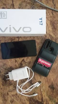 Vivo