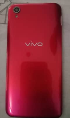 vivo