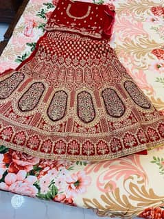 bridal lehnga unstich brand new