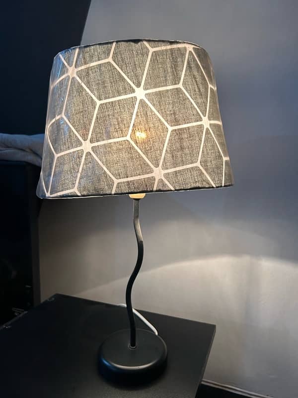 pair of New lamps black and white with golden bulbs 1