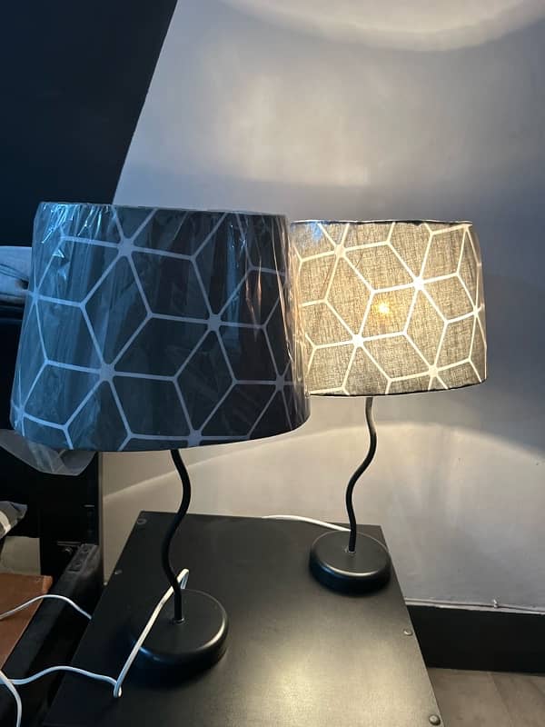 pair of New lamps black and white with golden bulbs 5