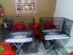 parrot cage For sale 0