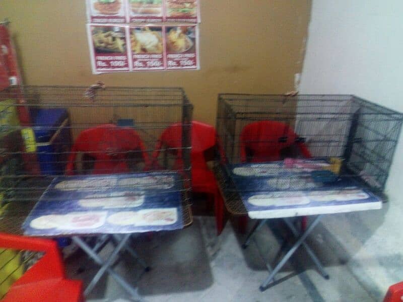 parrot cage For sale 0