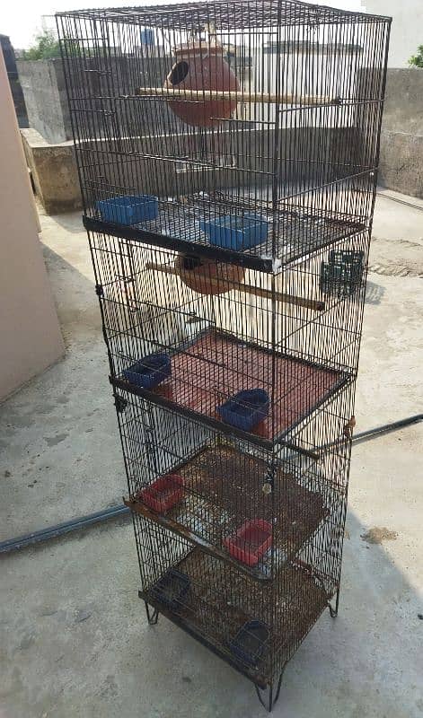 Birds Cage 0