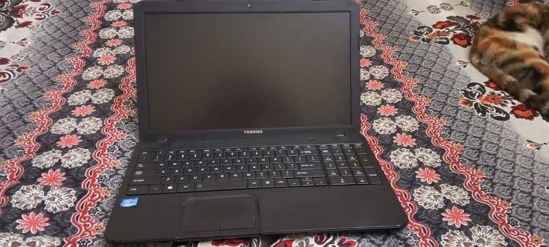 toshiba satelite i3 processor  6 gb ram 250 3