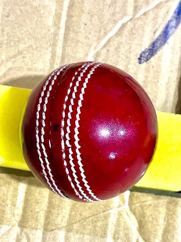 Cricket hard balls 1