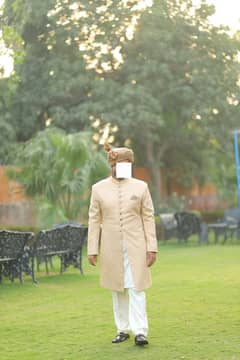 Groom Designer signature sherwani with kulla ( Amir Adnan)