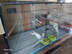 Parrot cage, cockateil, love birds large cage