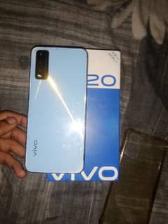 vivo