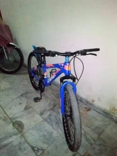 24 inch MTB Imported Bicycle