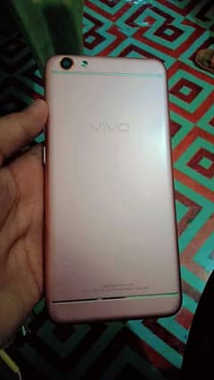 vivo