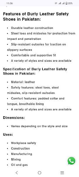 Safety Shoes 7