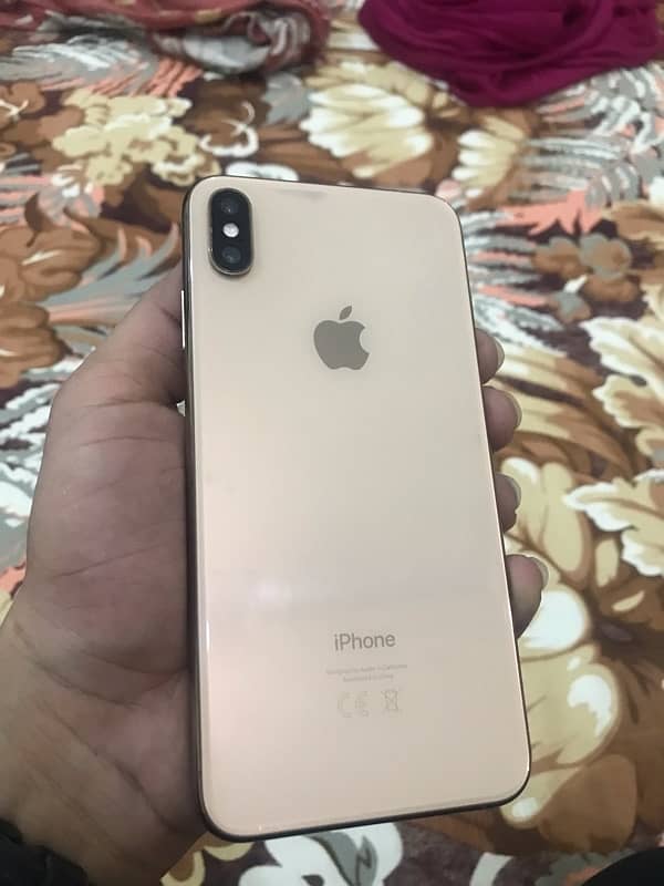 xs Max 64 Gb 1