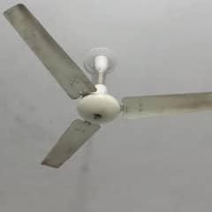 ceiling fan