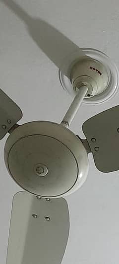 Ceiling Fan