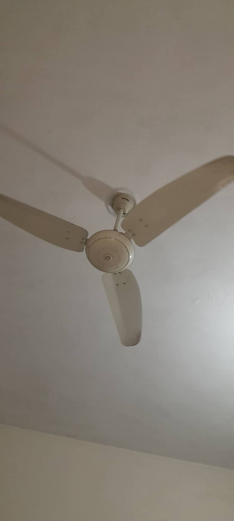 Ceiling Fan 1