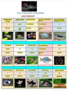 Fish and Aquatic Plants available for aquarium