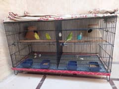 Birds cage for sale