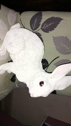 Decoration chalk Rabit