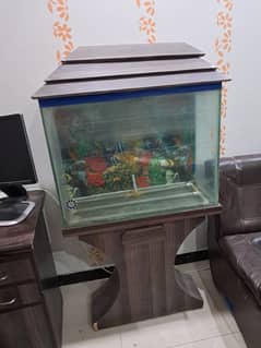 Fish aquarium for sale