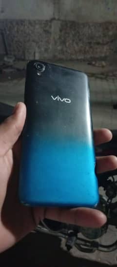 vivo