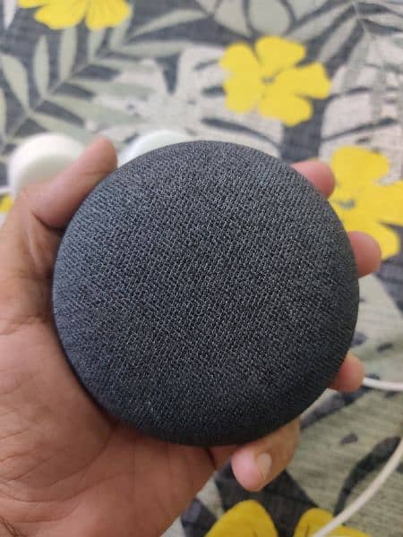 Google Nest Mini 2nd Gen*
Mint condition with original adopter 1