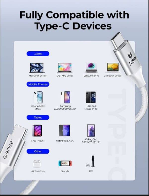 ORICO PREMIUM 100W PD CHARGING CABLE 6