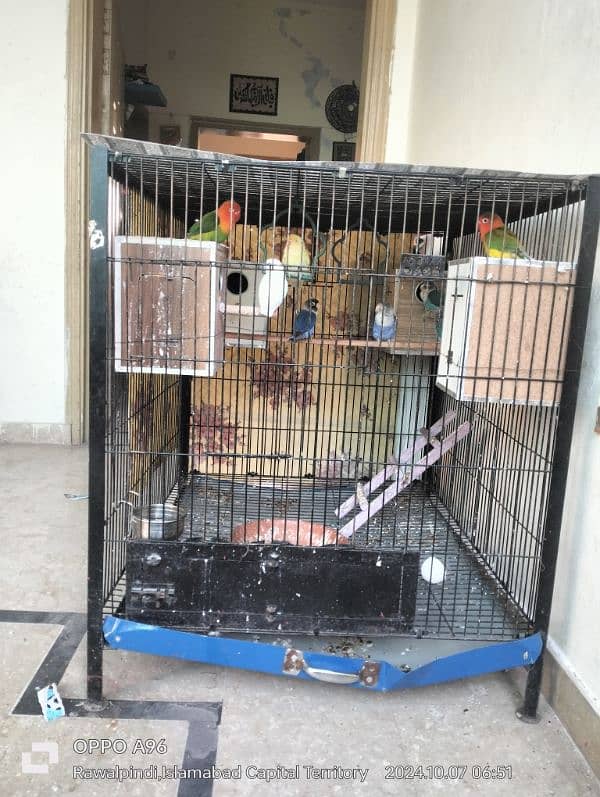 breeder cage for sale 4