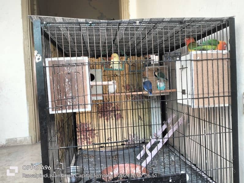 breeder cage for sale 5