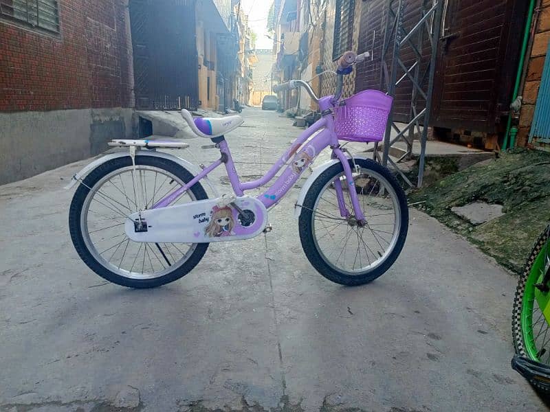 storm baby girls bicycle 1